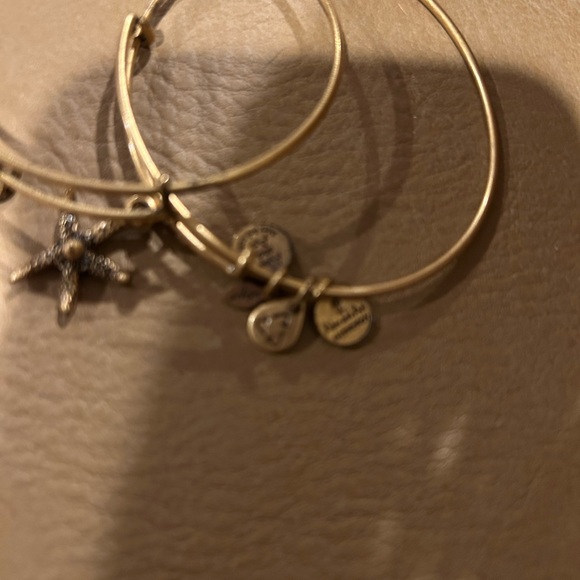 Alex and Ani Charm Bangle Bracelets - Picture 4 of 5